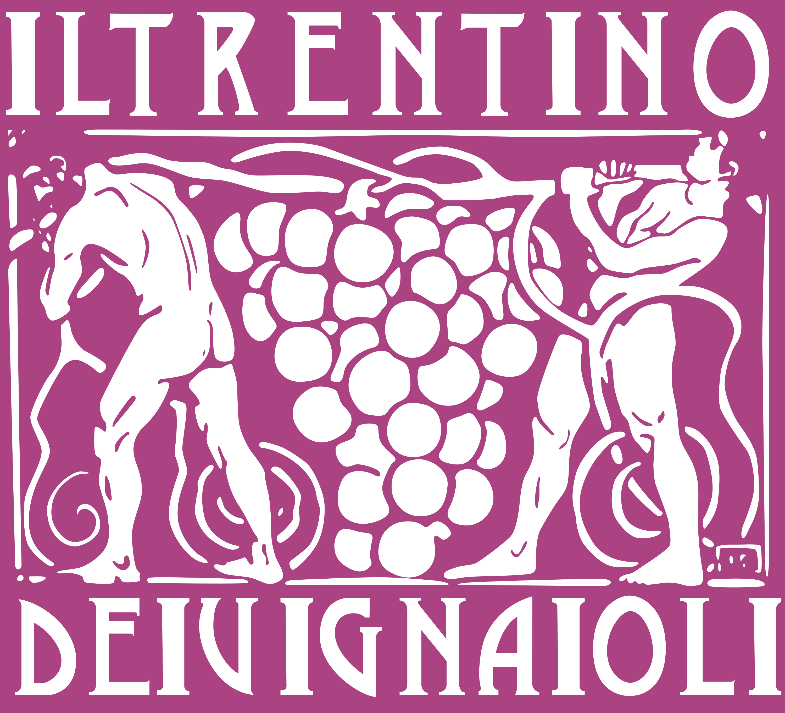 Il trentino dei vignaioli